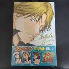 テニスの王子様 あぁんって言うゲーム アニメイト特典付き