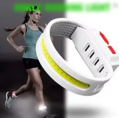 Item thumbnail for item ed27896f-bec2-4aa5-982b-911b0f439386