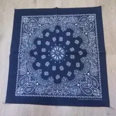 Item thumbnail for item bd7c466f-6887-4233-a20a-6defc8f3e660