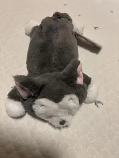 Item thumbnail for item afcbb984-845a-41fc-b6db-3465df53e951