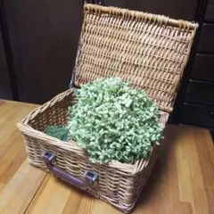 Item thumbnail for item 02e628ce-53c9-4807-9806-37eeb8dee34f