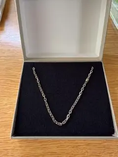 LIONHEARTスモールシルバーチェーンネックレス/カットアズキシルバー925