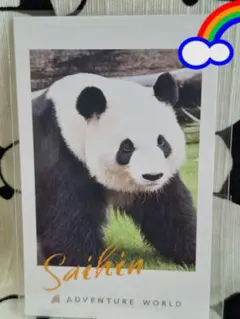 2025年最新】彩浜の人気アイテム - メルカリ