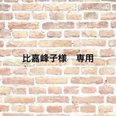 比嘉峰子様 リクエスト 3点 まとめ商品