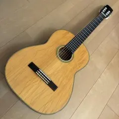 RECORDING KING RO-328 オール単板 アディロンダック＆ローズ - メルカリ