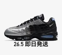 Palace Skateboards × Nike Air Max 95のサムネイル