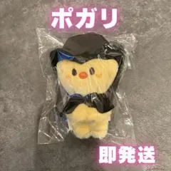 2026年最新】skzoo ポガリ ぬいぐるみの人気アイテム - メルカリ