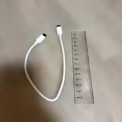 Lightning to USB-Cケーブル 約30cm