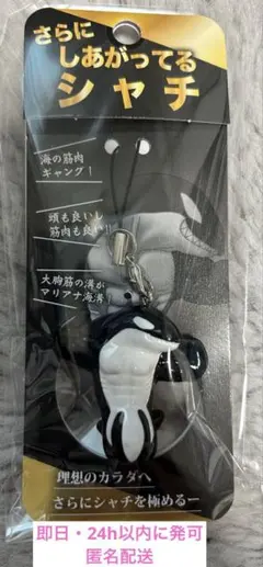 【新品未開封】さらに　しあがってるシャチ　須磨シーワールド　岩本照　即日発送可能