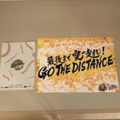 Item thumbnail for item 2d8e9e4a-cc20-4274-8c03-5f90d35e0a19