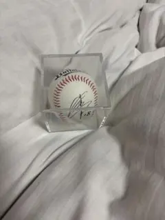 2026年最新】オリックス 山本 サインの人気アイテム - メルカリ