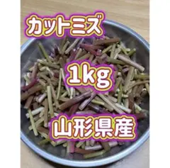 山菜 ミズ 新潟県産 採れたて新鮮発送 2キロ - メルカリ