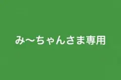 み～ちゃんさま専用