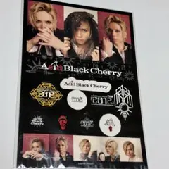 Acid Black Cherry 【未開封】ステッカー9枚セット 2025年最新】acid black cherry ステッカーの人気アイテム