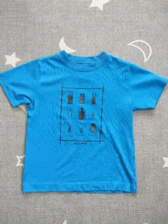 mont-bell　昆虫イラスト Tシャツ 120cm 青