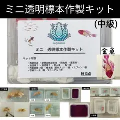 イレブン様 リクエスト 2点 まとめ商品