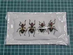 croissant red様 リクエスト 2点 まとめ商品