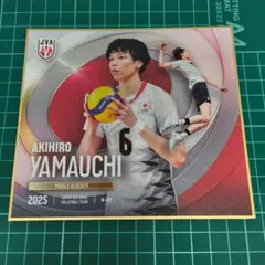 バレーボール女子日本代表 荒木彩花トレーディングmini色紙 - メルカリ
