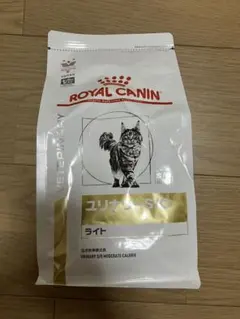 Item thumbnail for item 351281b1-380c-4df2-a667-ae380b2e047c