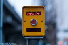 Nintendo Switch ピクミン4 Pikmin 4