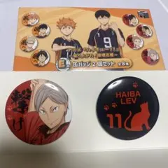 ハイキュー‼︎ 一番くじ E賞 缶バッジ リエーフ