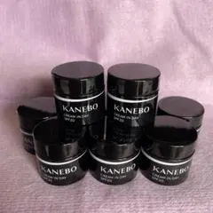 KANEBO CREAM IN DAY SPF20 クリーム