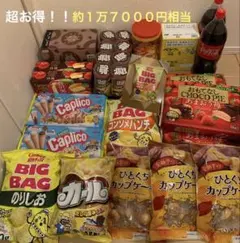 お菓子　チップスター　トッポ　プリッツ　シルベーヌバー　ガブリチュウ　まとめ売り お菓子 チップスター トッポ プリッツ シルベーヌバー