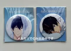 Free! 遙 凛 缶バッジセット - メルカリ