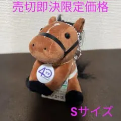 武豊 40周年 アイドルホース 騎手サイン箔押し ディープインパクト S