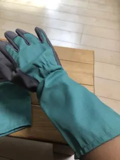 Item thumbnail for item 7be10cee-ed54-45ff-b1bf-4091f8a14777