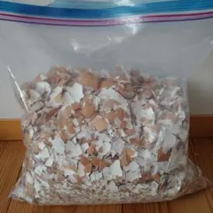 Item thumbnail for item 6e642cfa-64bf-4759-ba0d-376cc5a1c979