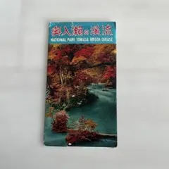 2026年最新】奥入瀬渓流の人気アイテム - メルカリ