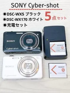 2026年最新】SONY DSC WX170の人気アイテム - メルカリ