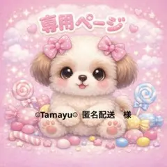 ☺︎Tamayu☺︎ 匿名配送様　専用ページ