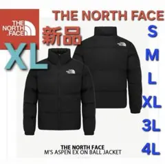 THE NORTH FACEノースフェイス中綿ダウンジャケット新品アウター　XL