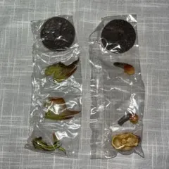 モンスターハンター 捕獲し隊4