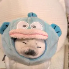 ハンギョドン♥被り物　ぬいぐるみ用　コスプレ　コスチューム　アウトフィット　帽子