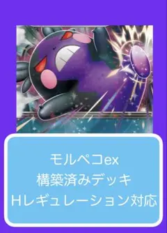 Dyr①④③ モルペコex構築済みデッキのサムネイル
