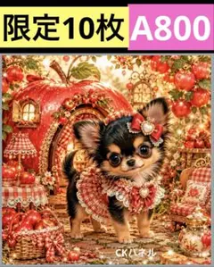 限定10枚！　レアパネル生地　無くなり次第終了です　6犬種パネル