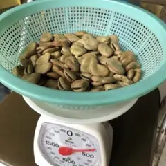 Draco様 リクエスト 2点 まとめ商品