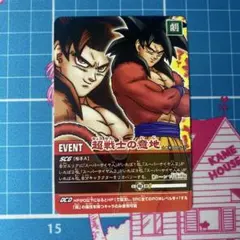 ドラゴンボールZⅡデータカードダス 超カードゲームトランクス（DB-024