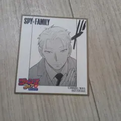 SPY×FAMILY ロイドフォージャー 色紙