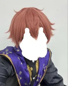 デュース&エース　ウィッグ ツイステッドワンダーランド ツイステ ハーツラビュル寮 エース