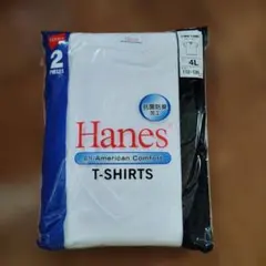 Hanes T-SHIRTS 2枚セット 4L(vネック）