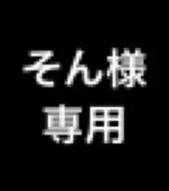 そん様専用ページ