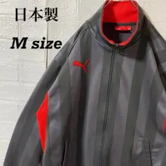 2026年最新】菅田将暉 ジャージの人気アイテム - メルカリ
