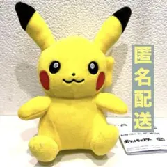 【新品未使用】　ピカチュウ　ポケットモンスタ　はらぺこもよう　ポケモンのサムネイル