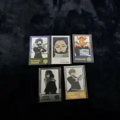 ヒロアカWフォトカードセット 5枚