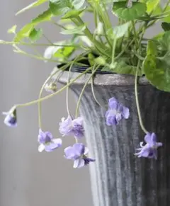 Yuko Nishimura様 リクエスト 2点 まとめ商品