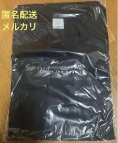 堂珍嘉邦 LIVE in the DARK Tシャツ　XLサイズ　ケミストリー
